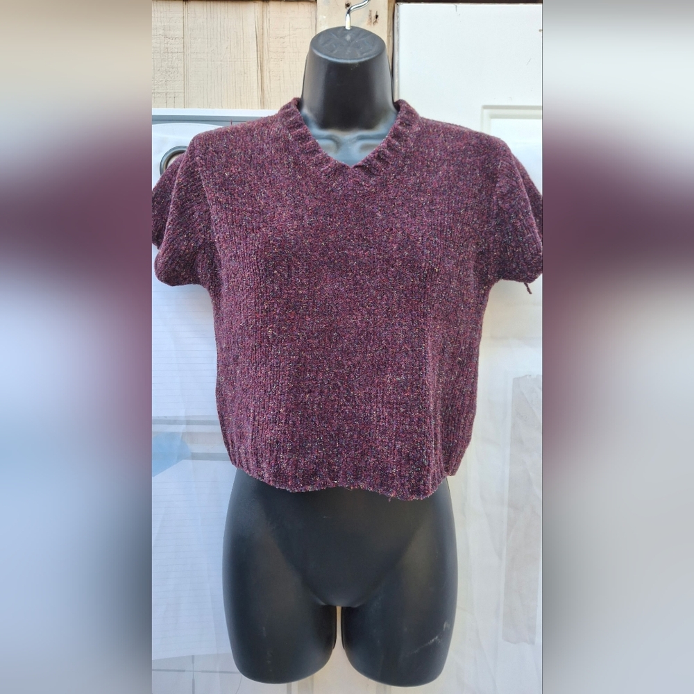 Maroon Short Sleeve Knit Crop Top